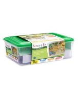 Dinosaur Dig Sensory Bin