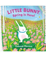 Little Bunny Spring is Here! Board Book