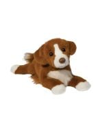 Rush Duck Tolling Retriever Dog