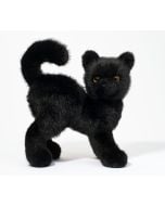 Scaredy Black Cat