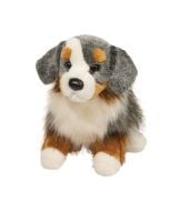 Sinclair Australian Shepherd