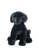 Spruce Black Lab
