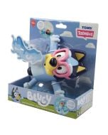 Swim School Bluey 