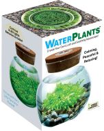 WaterPlants - Create Your Own Aquascape