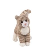 Zipper Grey Tabby Cat