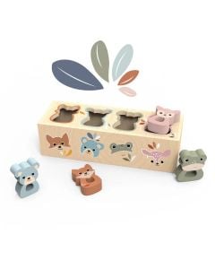 Animal Shape Box Sorter
