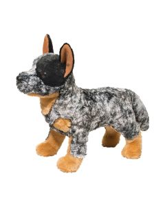 Bolt Australian Cattle Dog