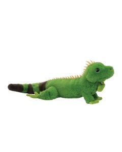 Buddie Iguana