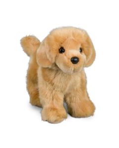Chap Golden Retriever