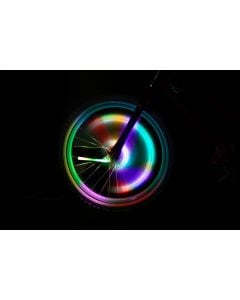 Color Morphing Spin Brightz