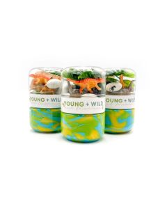 Dinosaur Grab & Go Dough Jar