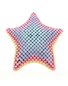 Floppy Starfish Fidget
