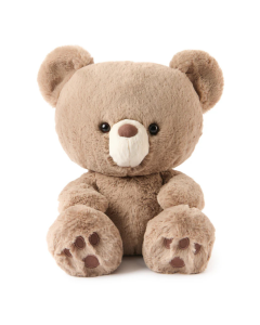 GUND Forever Friends Promise: Kai Bear
