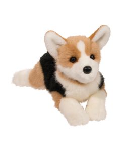 Konner Tri-Color Corgi