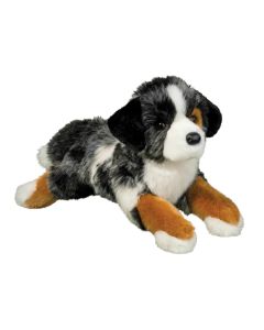 Maizie Australian Shepherd