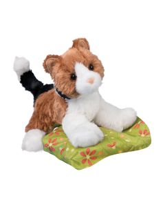Maps Calico Cat