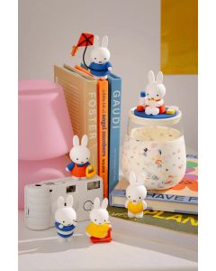 Miffy Goes Outside Blind Box