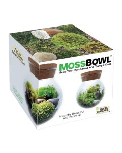 Moss Bowl - Grow Your Own Oasis