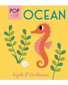 Ocean Pop Up Book