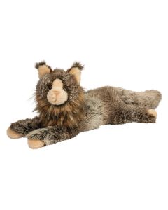 Oscar Maine Coon Cat
