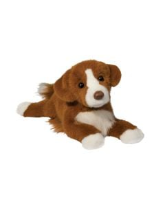 Rush Duck Tolling Retriever Dog