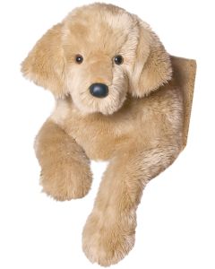 Sherman Golden Retriever