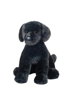 Spruce Black Lab