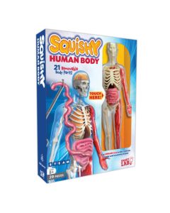 Squishy Human Body