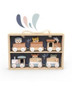 Train Set Display Case