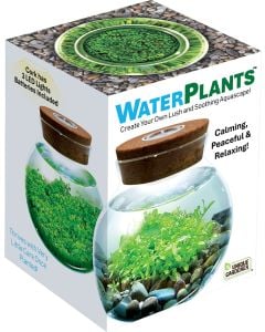 WaterPlants - Create Your Own Aquascape